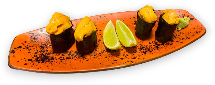GUNKAN DE ERIZOS DE MAR