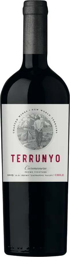 Terrunyo