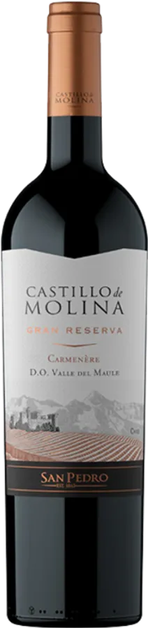 Castillo de Molina