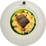 Risotto al Limon con Corvina
