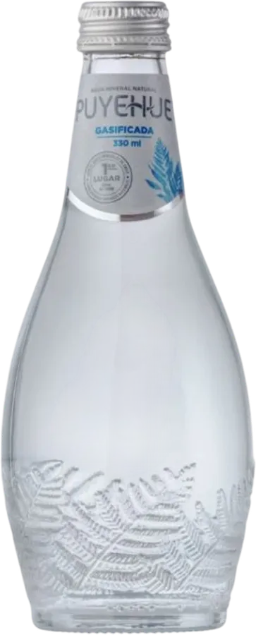 Agua Puyehue con gas