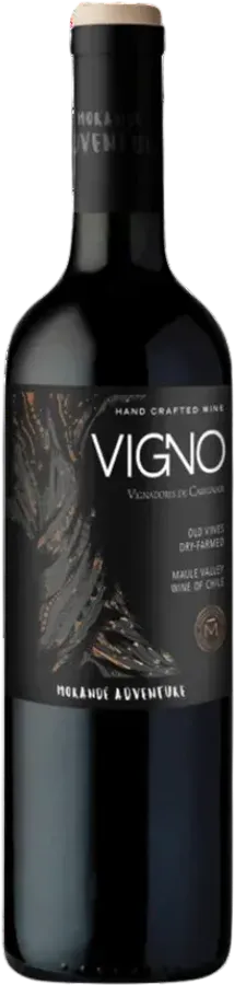 Vigno