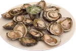 Ostra de nuestra piscina premium (24 ud)