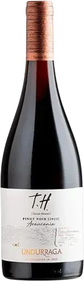 T.H. Araucania 