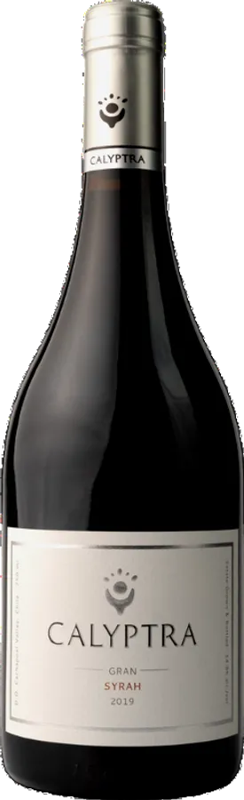 SY Calyptra 2019
