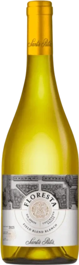 Santa Rita Floresta
