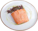 Trucha Salmonada