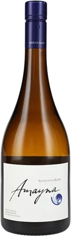 Garcés Silva Amayna