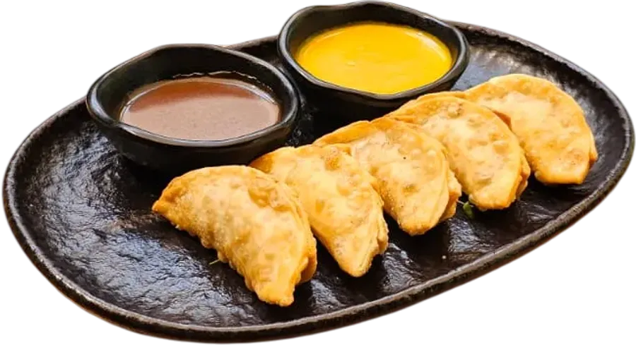 Gyozas fritas de lomo saltado