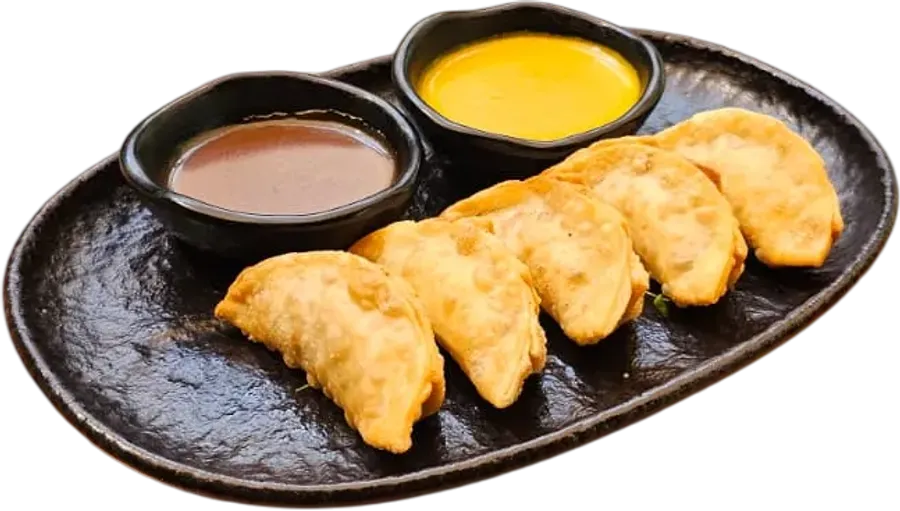 Gyozas fritas de lomo saltado 