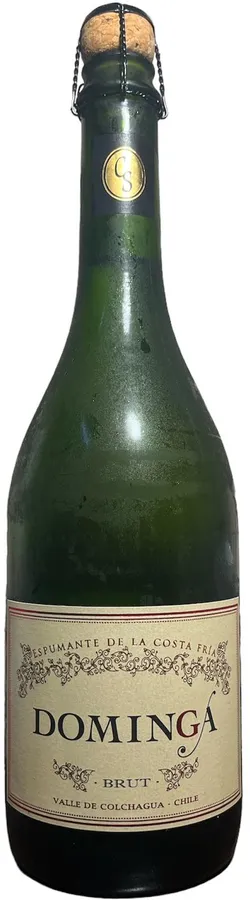 Casa Silva Dominga - Brut