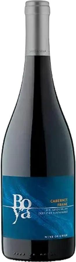 Garcés Silva