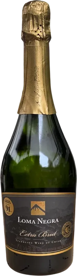 Undurraga Brut.