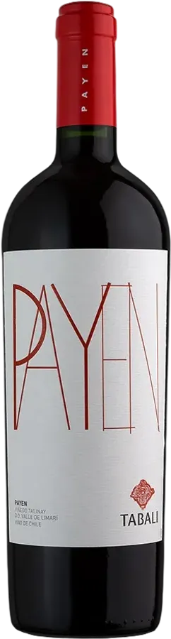 Payen