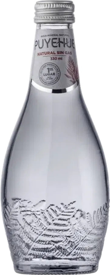 Agua Puyehue Sin Gas