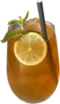 Araucano Mule