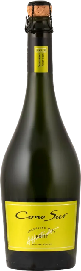 Cono Sur Brut