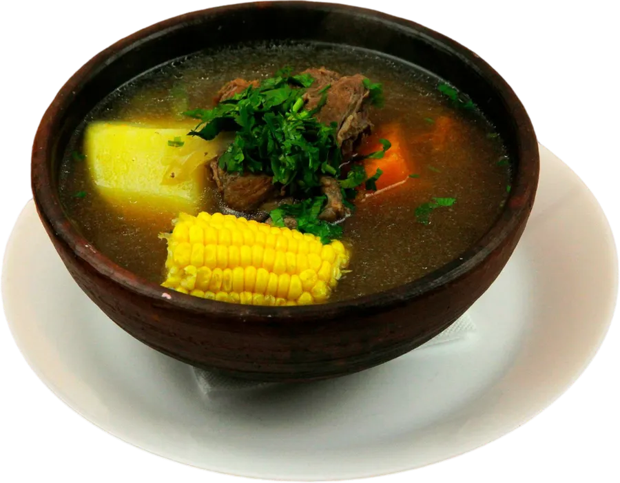 Cazuela de Vacuno