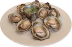 Ostra de nuestra piscina Premium (12 ud)