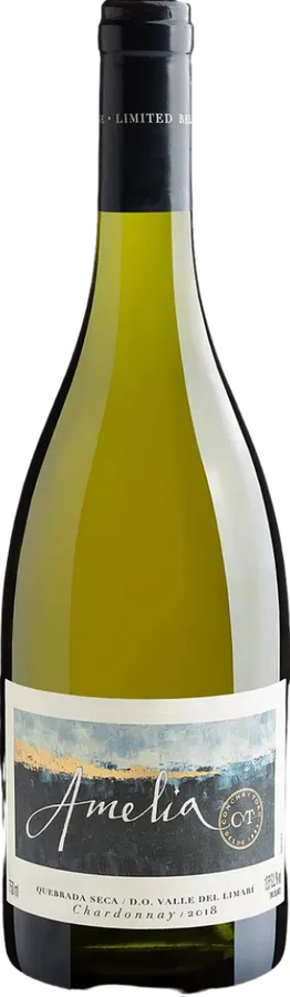 Marques De Casa Concha.