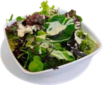 Ensalada de Hojas Verdes