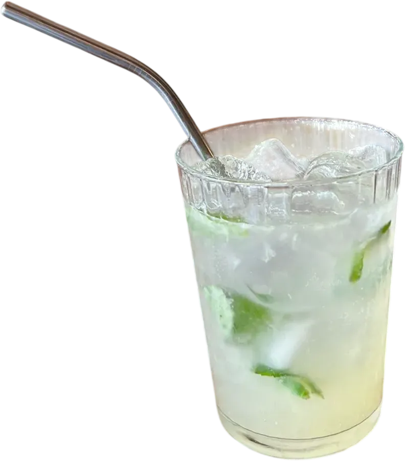 Tonic Mojito 