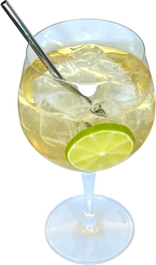 Saint Germain Spritz