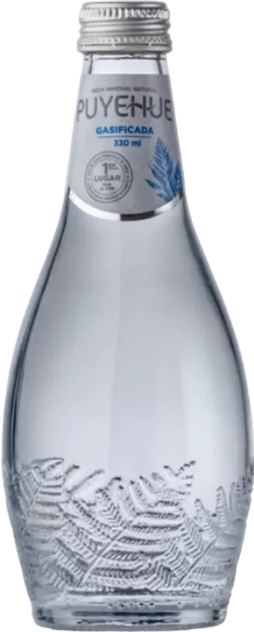 Agua Puyehue Con Gas