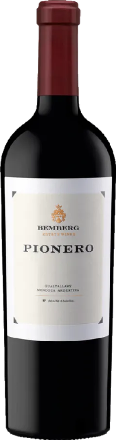 Pionero 2017