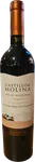 Castillo Molina