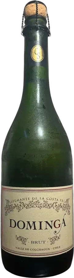 Casa Silva Dominga Brut