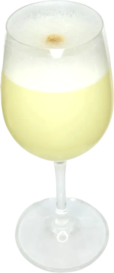 Pisco Sour Chileno "Catedral"