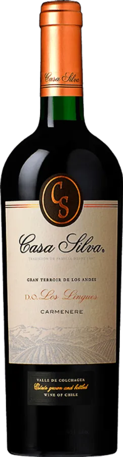 Gran Terroir de Los Andes Casa Silva