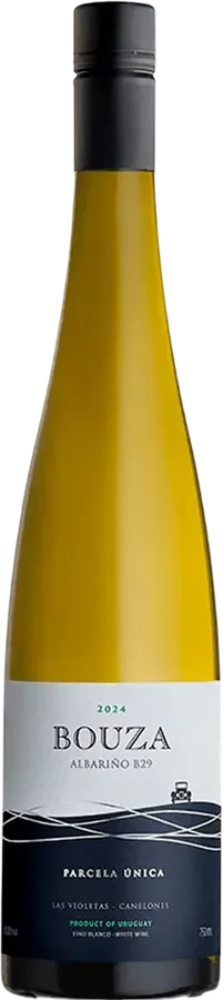 Parcela única B29 2024