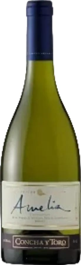 Amelia 2022
