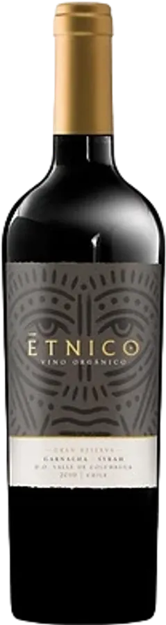 Étnico 2020