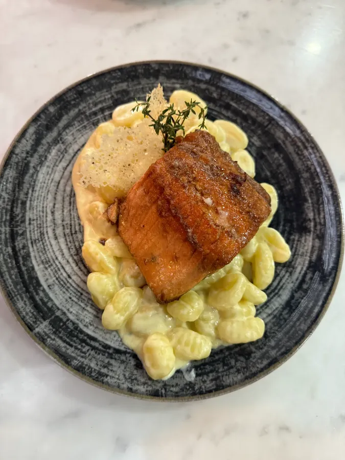 Salmon 