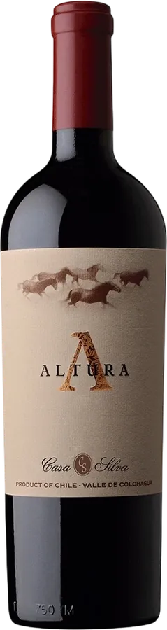 Casa Silva Altura