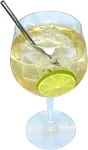 Saint Germain Spritz