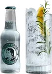 Botanical Gin & Tonic