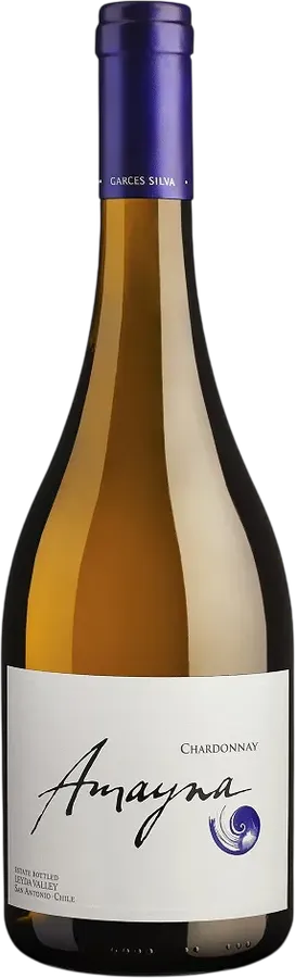 Garcés Silva Amayna