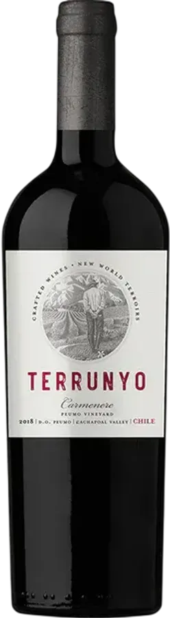 Terrunyo CS