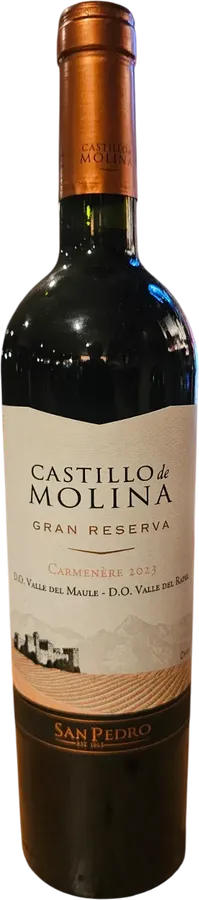 Castillo Molina
