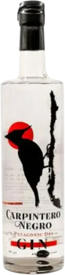 Carpintero Negro