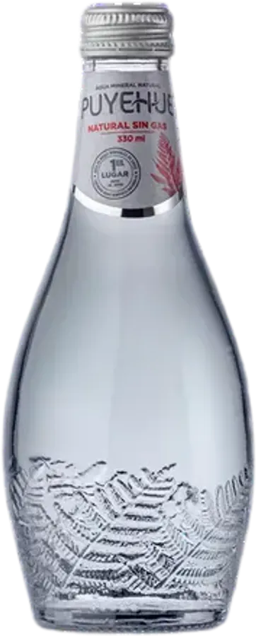 Agua Mineral Puyehue 330 Cc