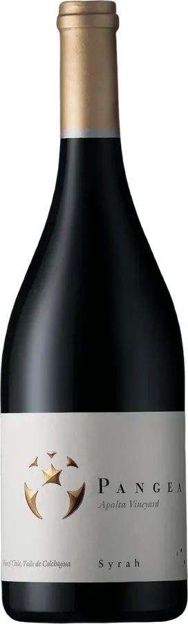 Ventisquero